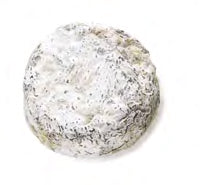 Brightwell Ash 150g x 6 (Pre-Order)- Straits Fine Food.