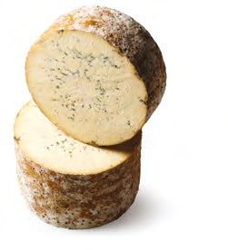 Colston Bassett Stilton 8kg (Pre-Order) - Straits Fine Food.