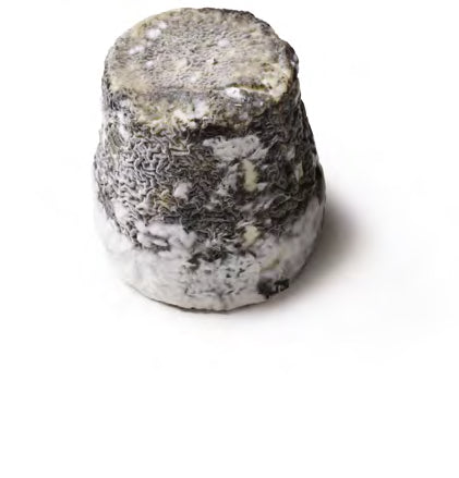 Dorstone 180g x 6 (Pre-Order) - Straits Fine Food.