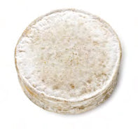 Gorwydd Caerphilly 4kg (Pre-Order) - Straits Fine Food.