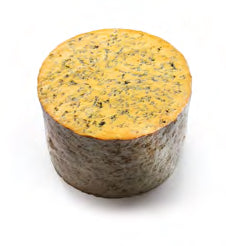 Sparkenhoe Shropshire Blue 8kg (Pre-Order) - Straits Fine Food.